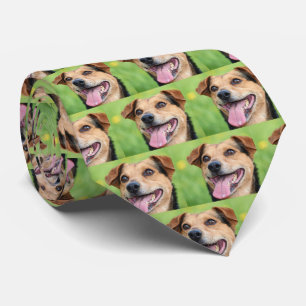 Gravata Fotografias de Pet Personalizadas Crie as suas