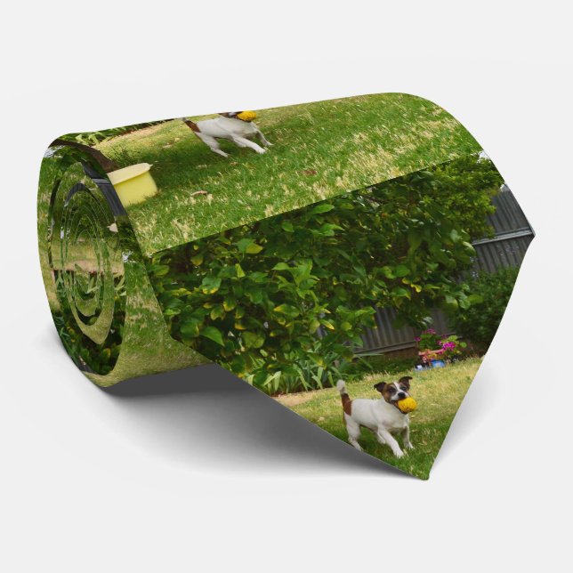 Gravata Fox Terrier Dias Felizes, (Rolled)