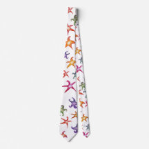 Frigoríficos coloridos, estrelas marinhas Flores A