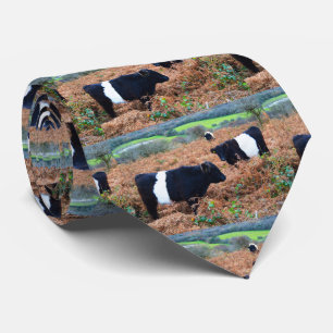 Gravata Gado cercado de Galloway