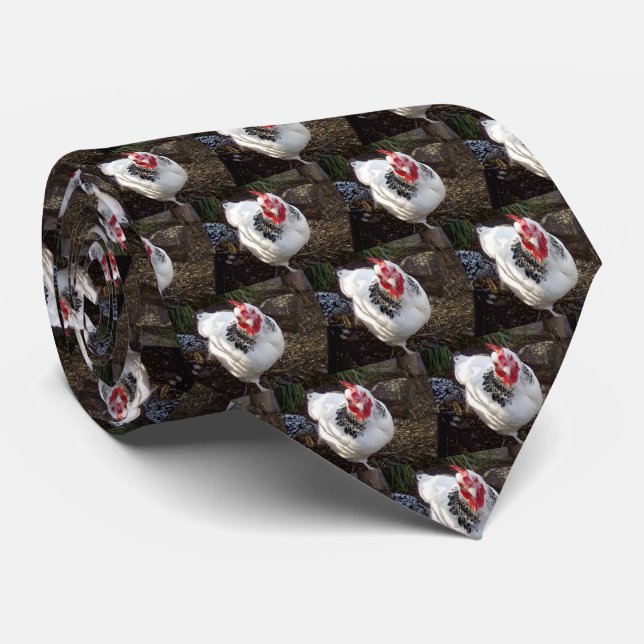 Gravata Galinha Branca E Negra Espetacular, (Rolled)