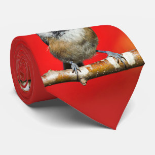 Gravata Galinha de Capas Negras Bonitas com Folhas Vermelh