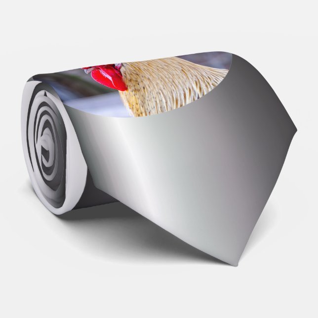 Gravata Galo com Cockscomb (Rolled)