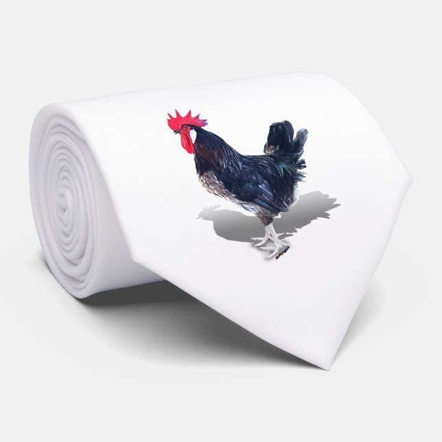 Gravata Galo de Minorca (Rolled)