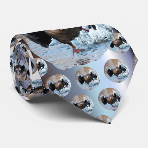 Gravata Ganso de pato bravo europeu na perseguição