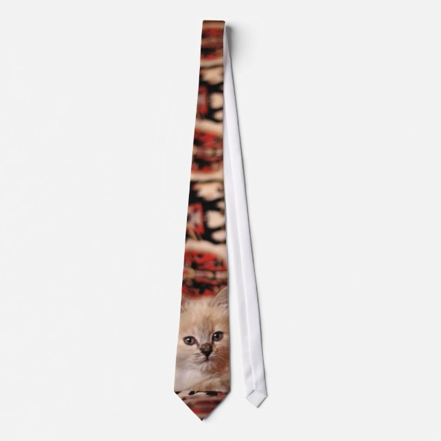 Gravata Gatinho Bonito (Frente)