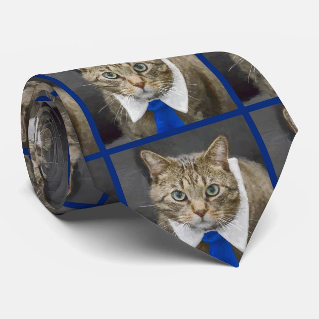 Gravata Gato Castanho-Gato-Gato Vestido (Rolled)