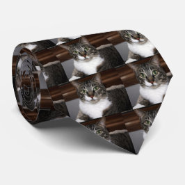 Gravata Gato de gato malhado que olha o