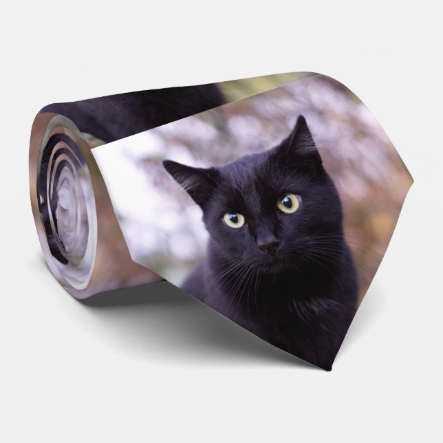 Gravata gato preto (Rolled)
