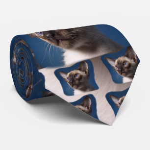 Gravata Gato Siamese com olhos azuis