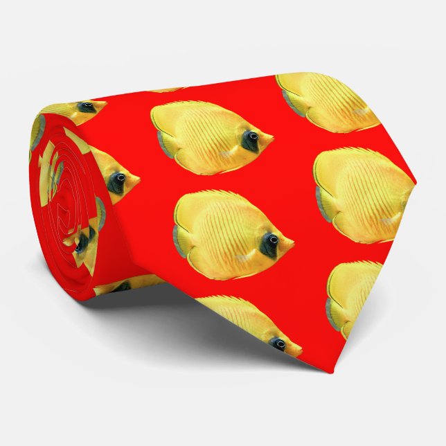 Gravata Golden butterflyfish (Rolled)