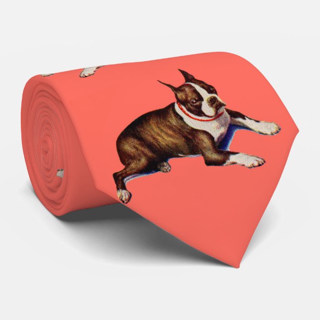 Gravata Gravura de Boston terrier (Rolled)