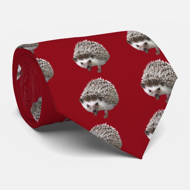 Gravata Hedgehog (Rolled)