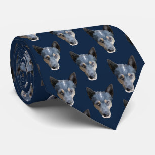 Gravata Heeler azul/cão australiano do gado