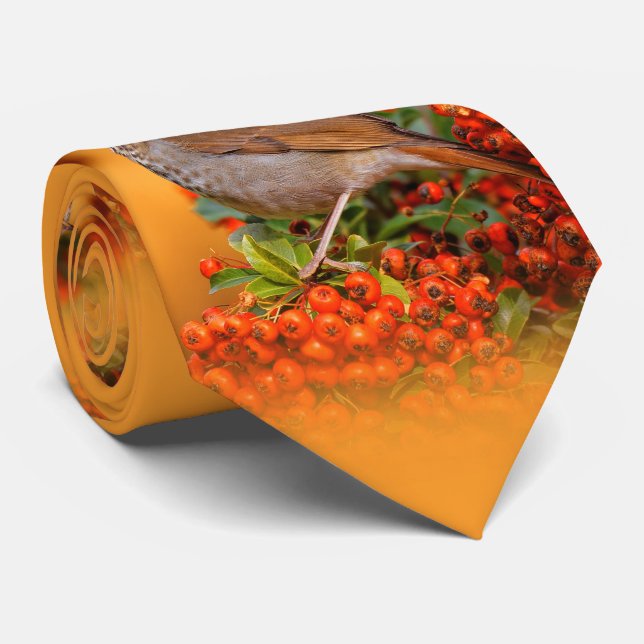 Gravata Hermit Thrush Songbird no espinho-de-espinho (Rolled)