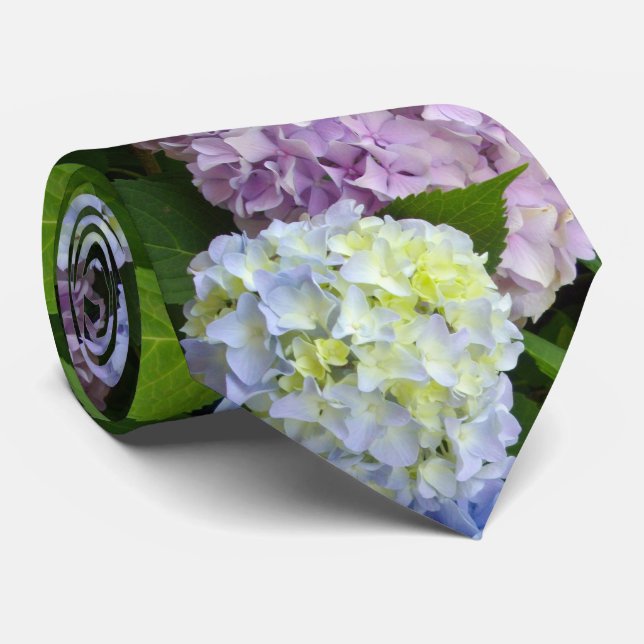 Gravata Hydrangeas (Rolled)