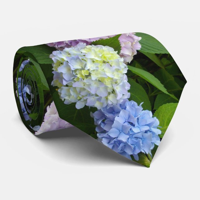 Gravata Hydrangeas (Rolled)