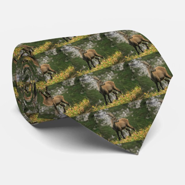 Gravata Íbex selvagem alpino, da cabra, ou steinbock (Rolled)