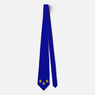 Gravata Ile de france flag Neck Tie