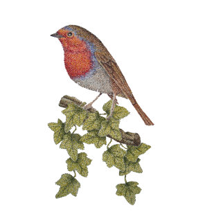 Gravata Ilustração das folhas do pisco de peito vermelho