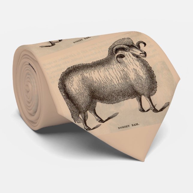 Gravata impressão de carneiros dorset do século XIX (Rolled)