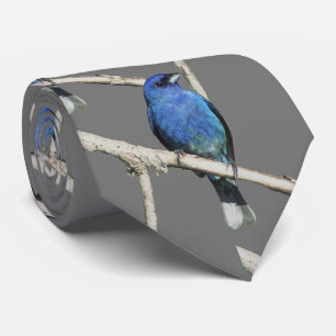 Gravata Indigo Bunting Neck Tie