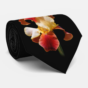 Gravata Íris Germânica Barbuda Multicolor Elegante