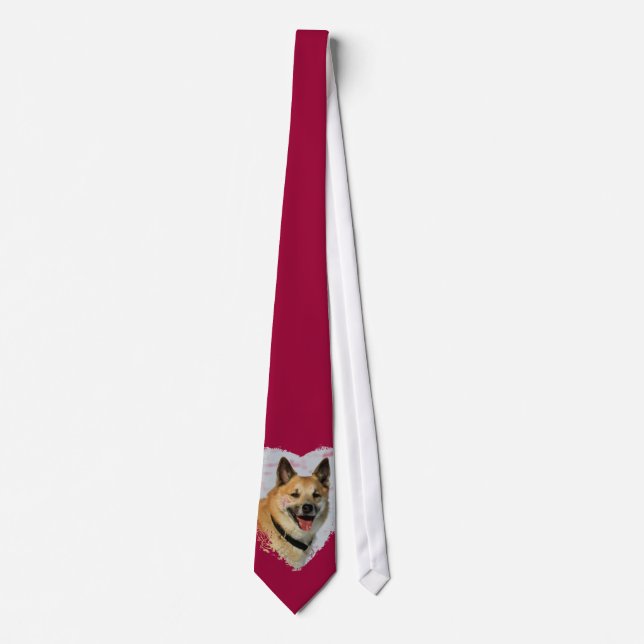 Gravata Islandhund (Frente)
