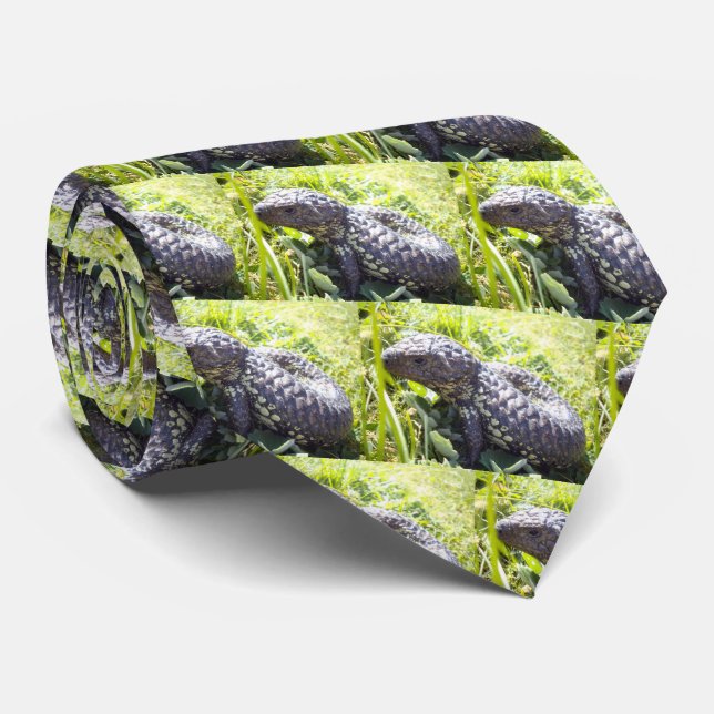 Gravata Jovem Língua Azul Australiana Lizard, (Rolled)