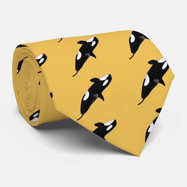 Gravata Killerwhale, Orcinus orca (Rolled)