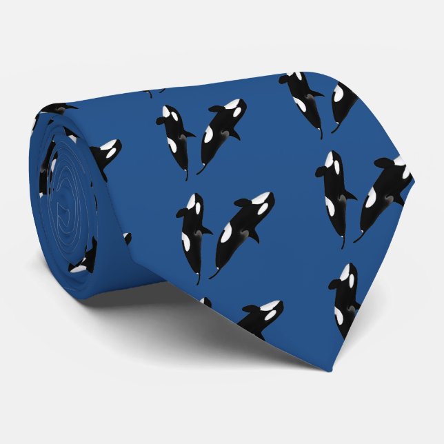 Gravata Killerwhale, Orcinus orca (Rolled)