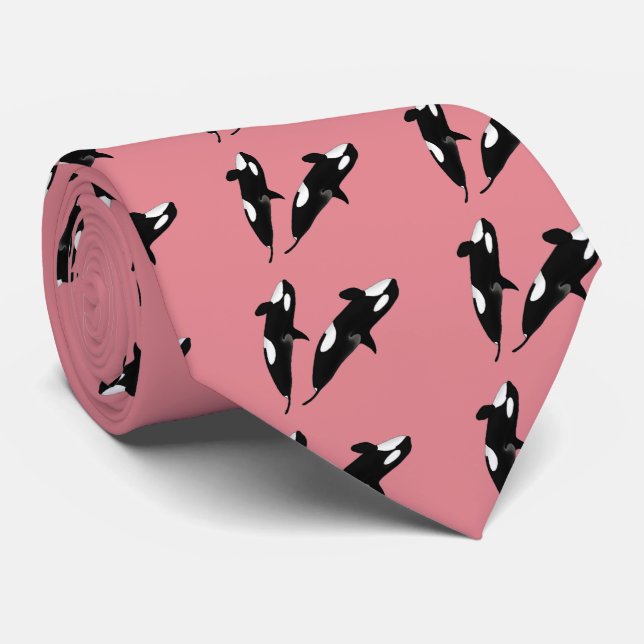 Gravata Killerwhale , Orcinus orca (Rolled)