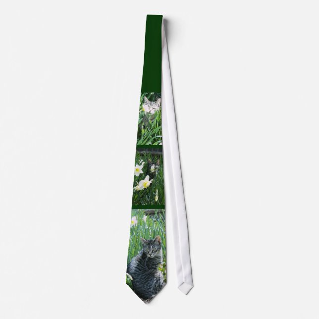 Gravata Kitten No Daffodils Tie (Frente)