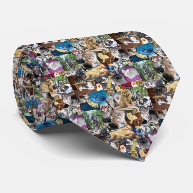 Gravata Kitten Photo Collarge, (Rolled)