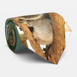 Gravata Koala bear-3,