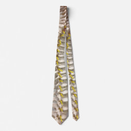 Gravata Laço da espinha