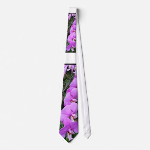 Gravata Laço roxo da orquídea, foto floral