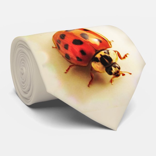 Gravata Ladybug Tie (Rolled)