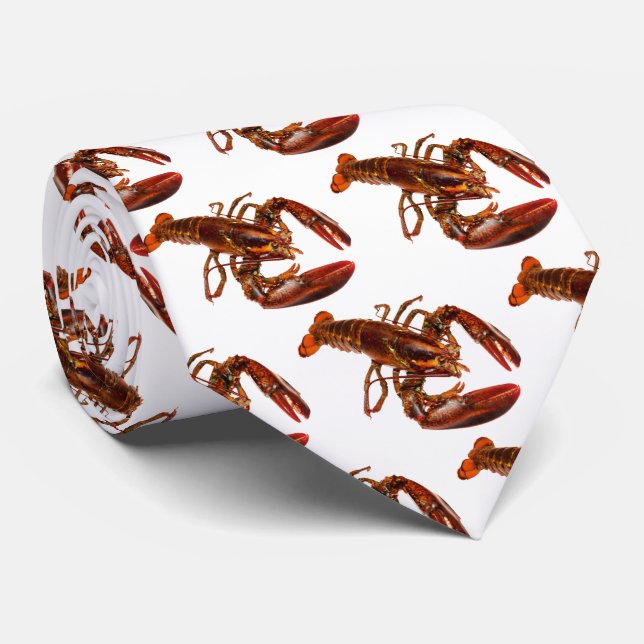 Gravata Lagosta (Rolled)