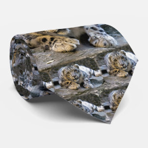Gravata Leopardo de neve o gato felino Starring