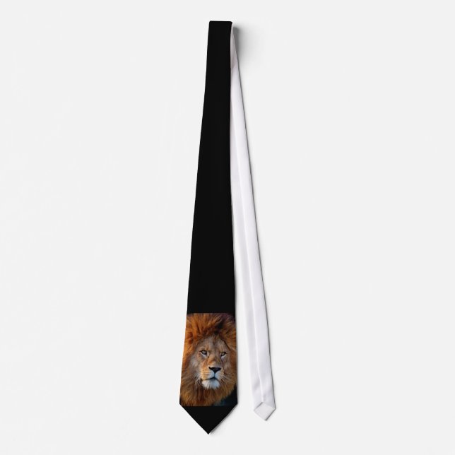Gravata Lion_20180712_by_JAMFoto (Frente)