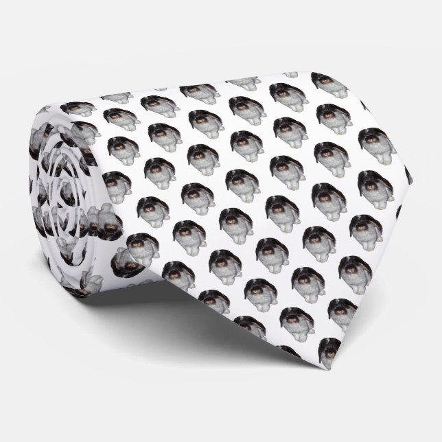 Gravata Loucura de Coelho de Orelhas Caídas (Escol (Rolled)