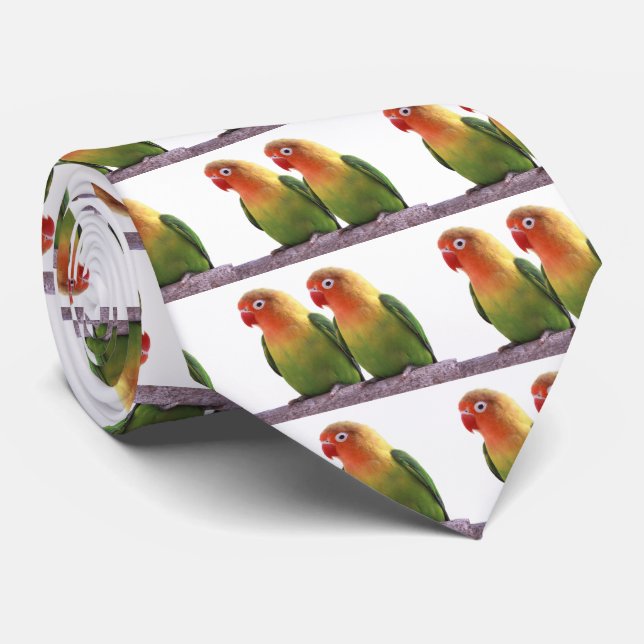 Gravata Lovebird de Fischer (Rolled)