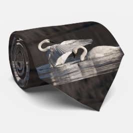 Gravata Loving Swans