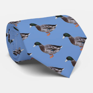 Gravata Mallard
