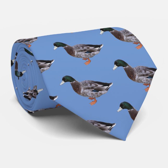 Gravata Mallard (Rolled)
