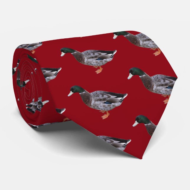 Gravata Mallard (Rolled)
