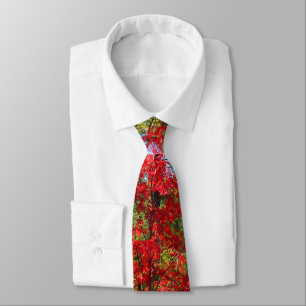 Gravata masculina de folhas de outono