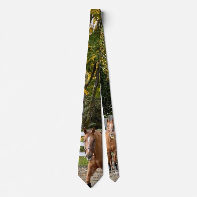 Gravata masculina Quarter Horse (Frente)