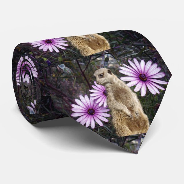 Gravata Meerkat E Daises, (Rolled)